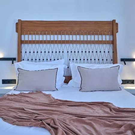 The Bright And Elegant Akira Naoussa