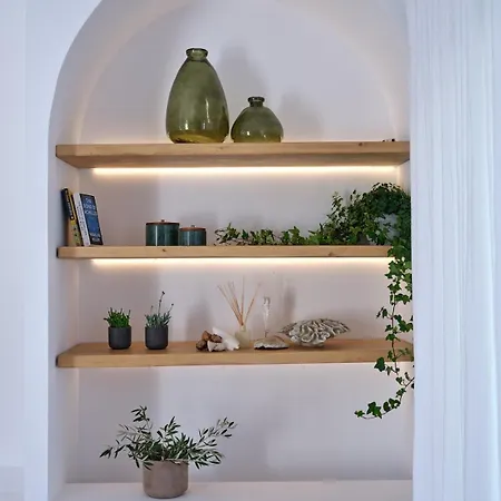 The Bright And Elegant Akira