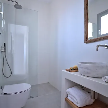 The Bright And Elegant Akira Naoussa