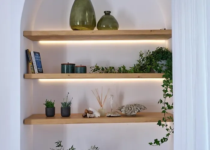 The Bright And Elegant Akira