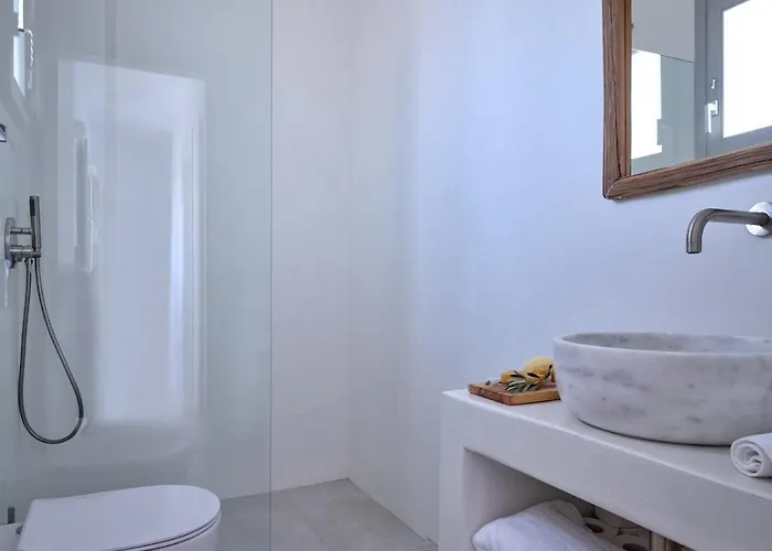 The Bright And Elegant Akira ナウサ